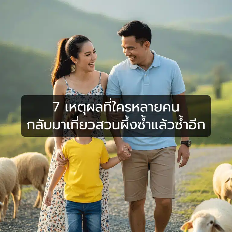 [ตัวอย่าง] 7 เหตุผลที่ใครหลายคนกลับมาเที่ยวสวนผึ้งซ้ำแล้วซ้ำอีก